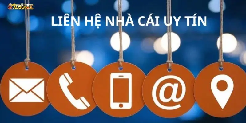 Kết nối qua thư điện tử để đính kèm thêm các minh chứng